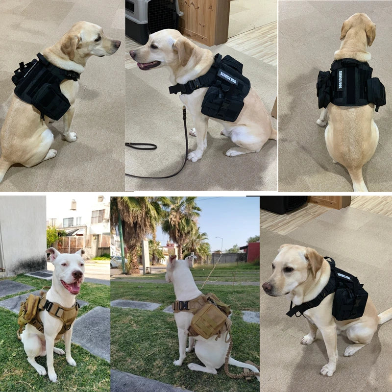 "Equip your dog like a pro with the K9 Tactical Military Vest—built for all breeds, ready for any mission! 🐕🔥"