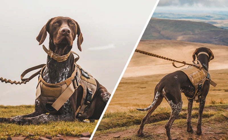 "Equip your dog like a pro with the K9 Tactical Military Vest—built for all breeds, ready for any mission! 🐕🔥"